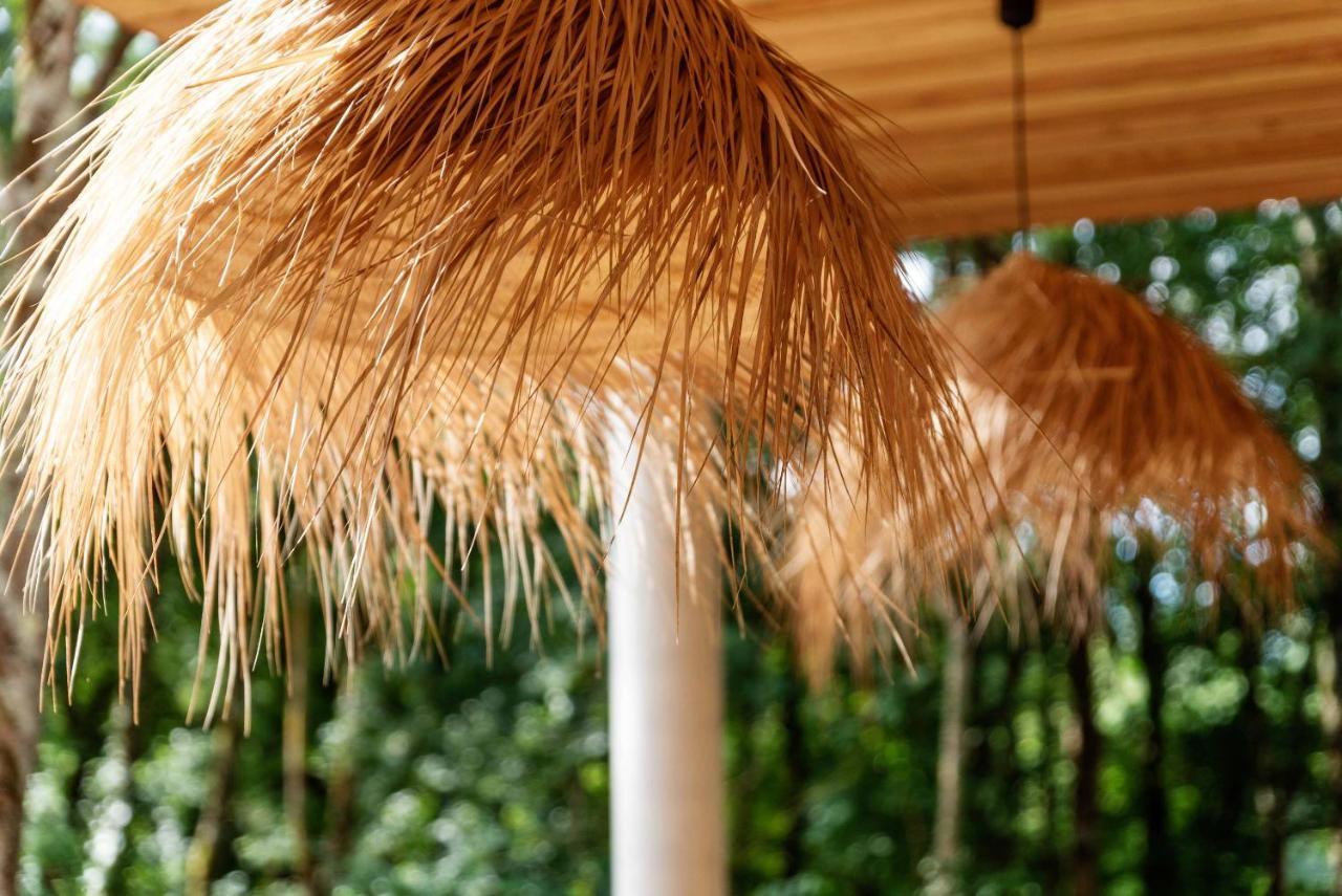Dans Les Arbres Bed & Breakfast Lanta Dış mekan fotoğraf